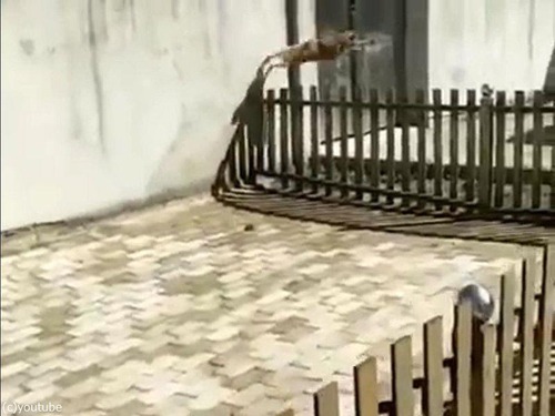 ���ΰ�̣���ʤ���05