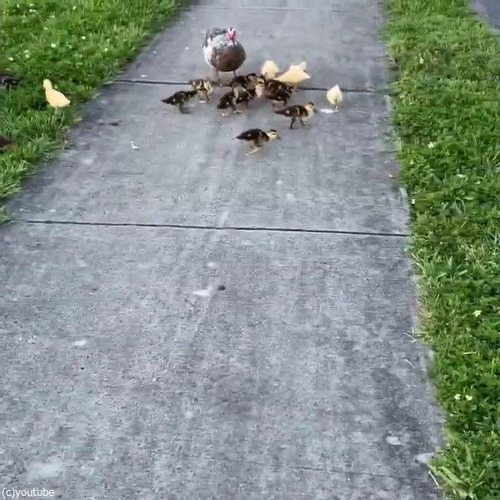 �ҥ�Ļ���������˰�������05