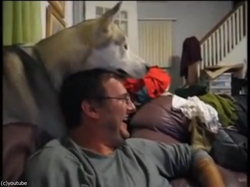 ����Ƭ�ξ�˴��褻�Ƥ���ȤǤ���ͷ��03