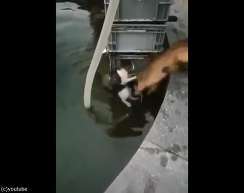 Ů��Ƥ���ǭ��߽Ф��븤02