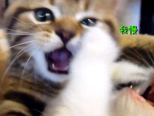 ǭ����ؤ֡����Ȥ��ƤΤդ�ޤ�08