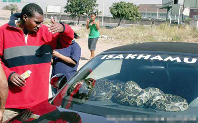 �����ɻ�09