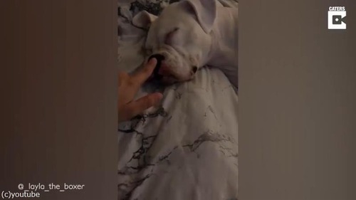 �������Ƥ���֤˥��ʥå��ۻҤ򿩤٤褦�Ȥ������02