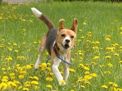 �ɥ��ûҤʸ�00