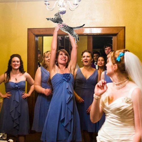 結婚式のブーケを猫に11