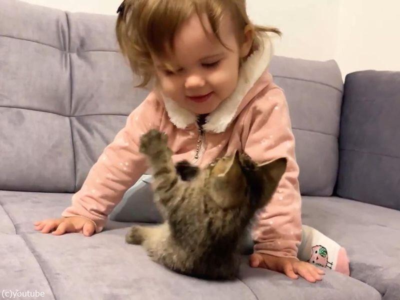 どちらも天使 子猫と女の子の赤ちゃんの初めての出会い 動画 らばq