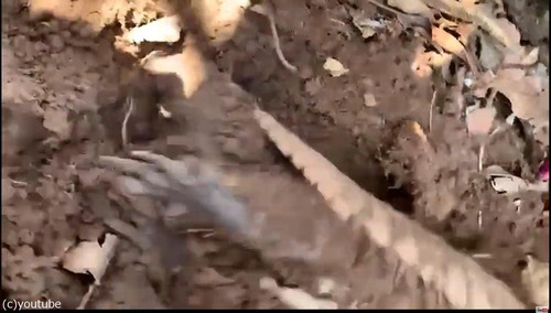 ����ޥ������ĸ�������ޤäƤ���02