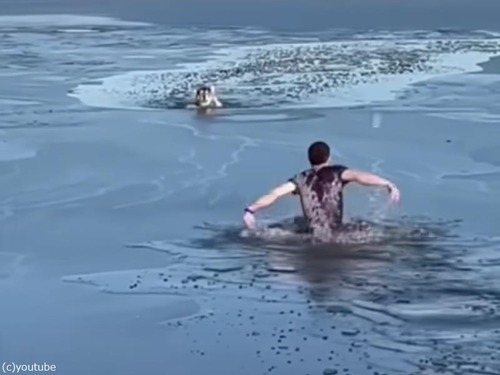 凍りついた湖に落ちた犬を…男性が氷を割りながら救出する