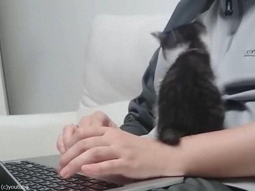 ̲�����臘��ǭ��������ξ���Ф�03