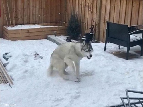 ��ξ�Ǹ��������å�������01