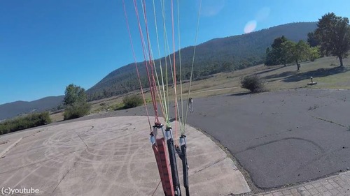 ���줾�������ȥ�ꥢ�ĥѥ饰�饤�������ϻ��ˤ���ưʪ�����зޤ�02