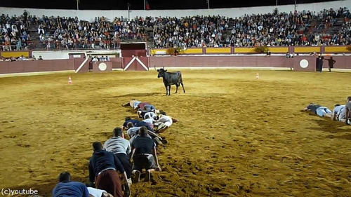 Ʈ���Ȥ���ޤ���ž���05