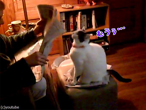 構ってニャ〜00