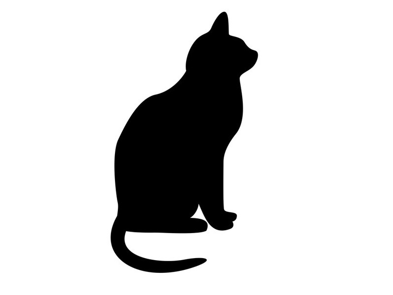 普段はかわいい猫だけど この日は心臓発作を起こしかけた 原因は小麦 らばq 普段はかわいい猫だけど この日は心臓発作を起こしかけた 原因は小麦 らばq