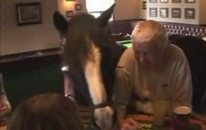 英国パブと馬01