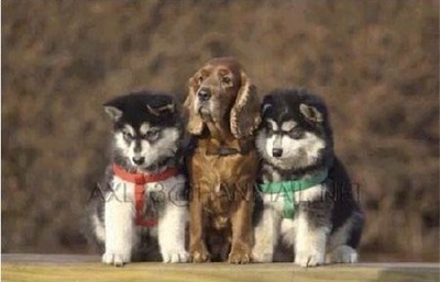 3ɤ�θ�����Ĺ02