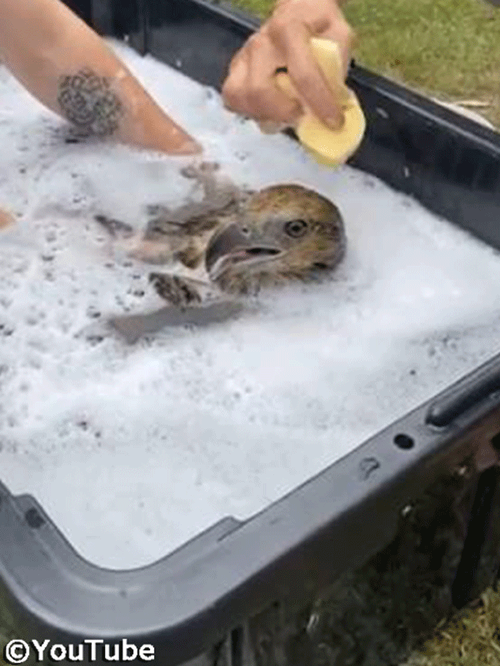 �亮��ˢ��Ϥ�����ȥ��å���03