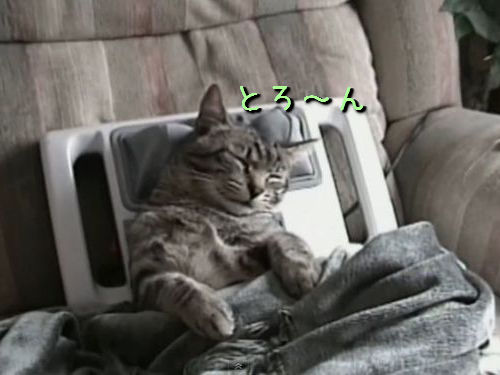 ǭ�ȥޥå�������00