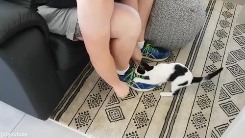 ��ǭ�Τ����Ƿ�ɳ����٤ʤ�03