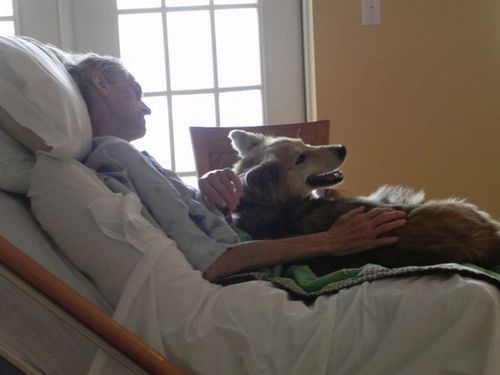 最後は愛犬と08