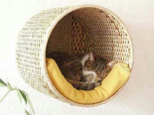 ペットのインテリア03