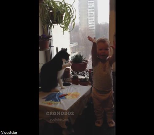 猫パンチ対決03