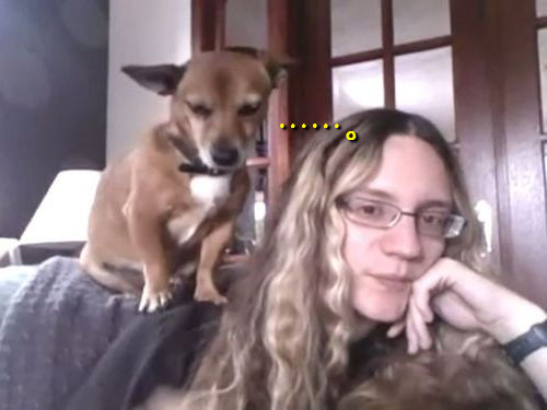 ナデナデされた犬の愛01