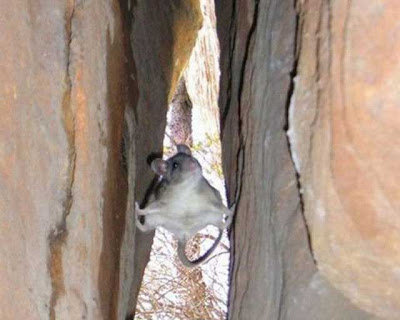 すごいポーズ10