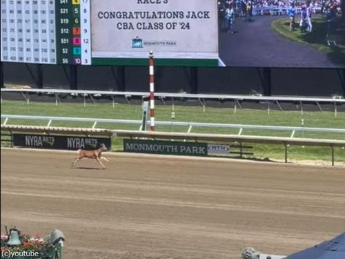 アメリカの競馬場で珍事…野生の鹿が激走する（動画）
