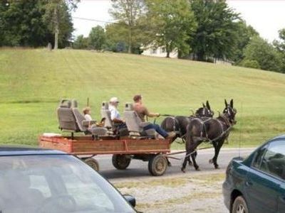 ̵�����ʽ���00