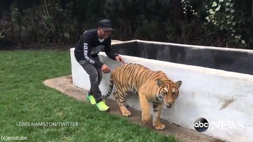 �פ��ظ夫�鶼������01