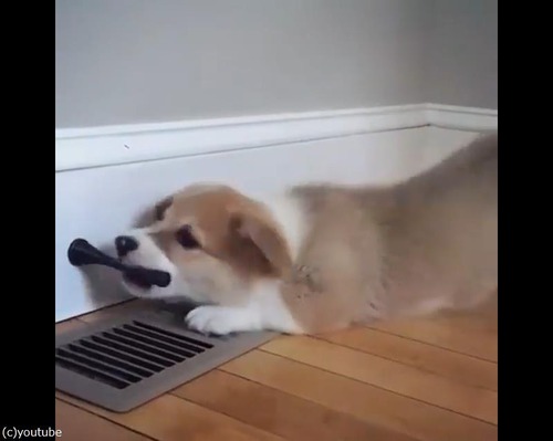 �֤���󥳡��������ʤ����ɥ����ȥåѡ���̴��03