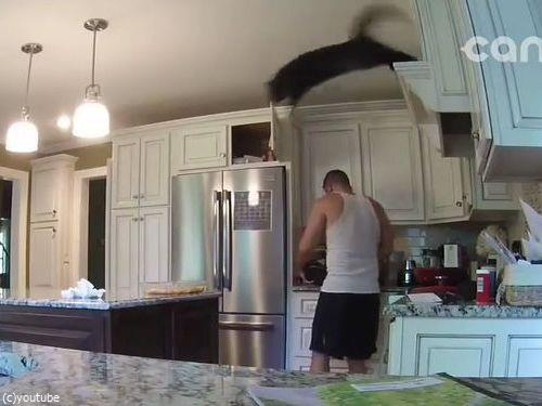 猫がいると起こること02