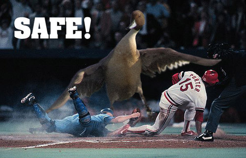 �ʹ������ޥ���11