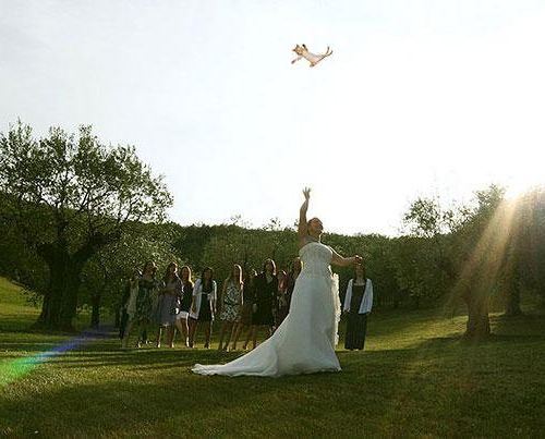 結婚式のブーケを猫に15