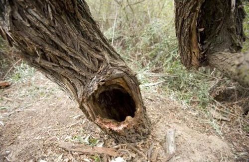 �ڤ˰��߹��ޤ줿����04