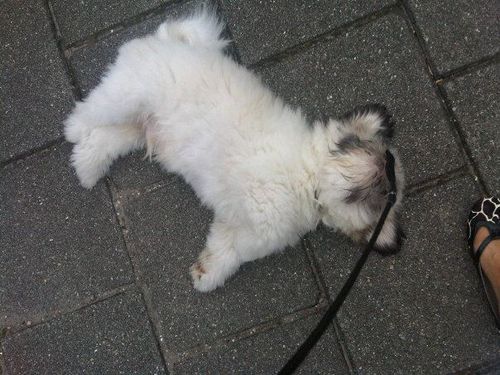 ���ʼ�ĥ��01