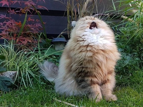 子ども時代の最高に恥ずかしかった記憶01