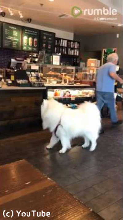 コーヒーショップのかわいいお客さん02