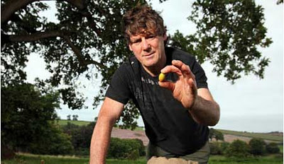 どんぐり拾い01