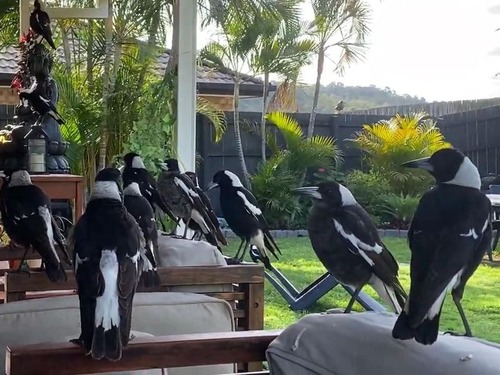 ���˥�������02