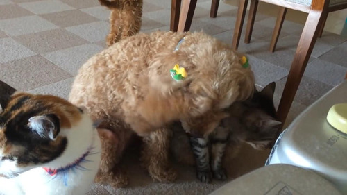 ǭ������ȥ��ס��ɥ�04