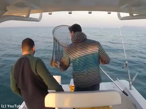 �����򥲥åȤ��ƥϥ��ƥ󥷥���2�;׷�η���00