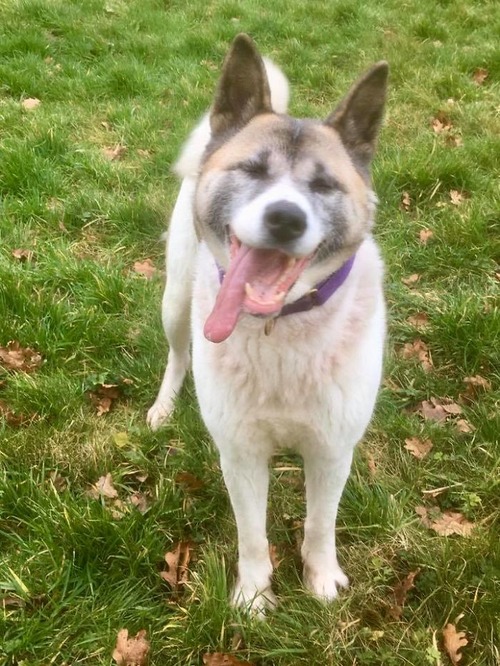 ���������θ�03