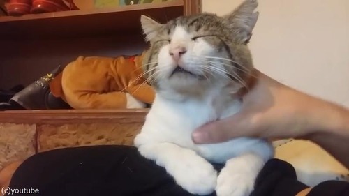 �ޥå������ˤ����٤�ǭ01