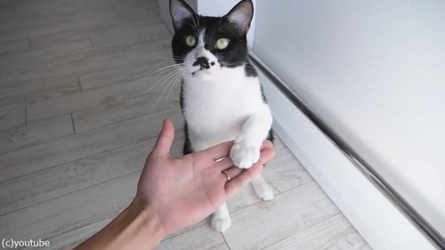 ǭ�ˤ����Ф���������ˡ03