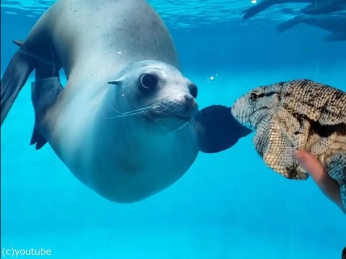 �������ȥȥ���02