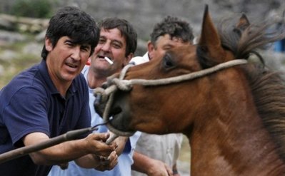 スペインの馬祭り14