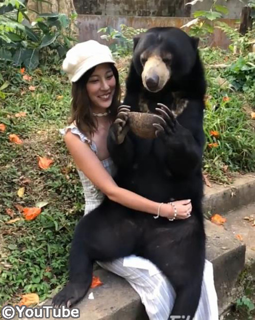 バリ島には人懐っこいマレーグマがいるらしい01