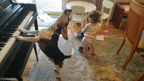 ピアノ弾き語りをする犬と踊る女児02